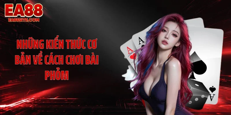 Những kiến thức cơ bản về cách chơi bài phỏm